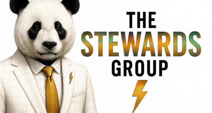 The Stewards Group