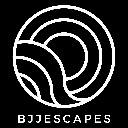 BJJ Escapes