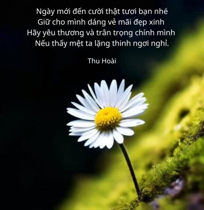 Thơ Trần
