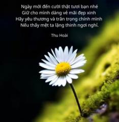 Thơ Trần