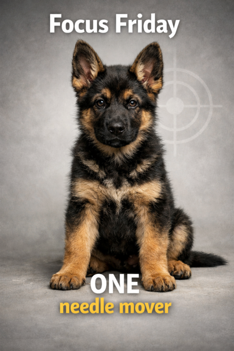 Goblin’s Focus Friday 🐺🎯 If you try to do 17 things next week, you’ll do 0.