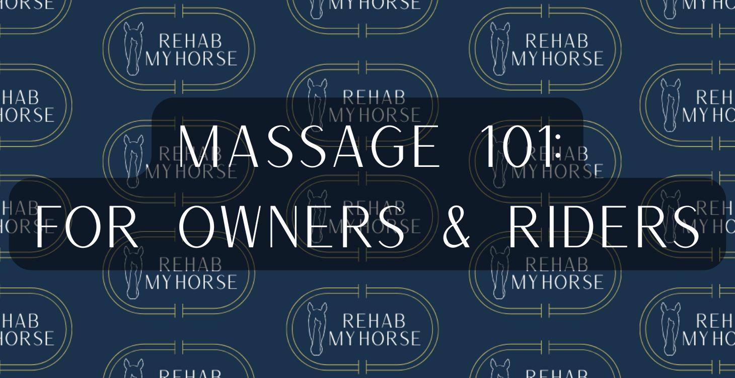 Massage 101: For Owners & Riders