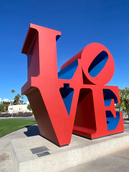 Mackenzie AllianceMushrooms