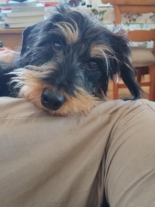 Alejandro Díaz bueno