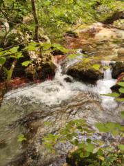 Patrizia Di Vincenzo