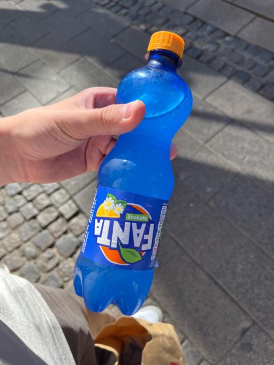 Villads Gorm Søndergård