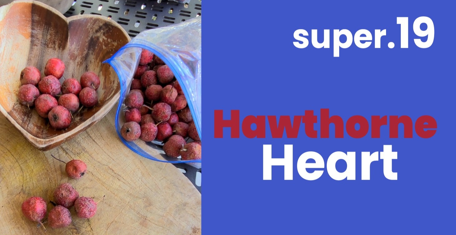 Hawthorne Heart