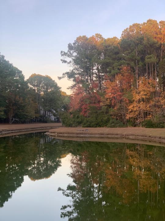Zion Sweet