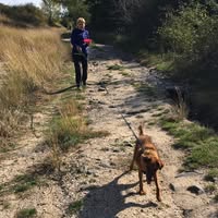 Ágnes Preszlikné Mátravölgyi