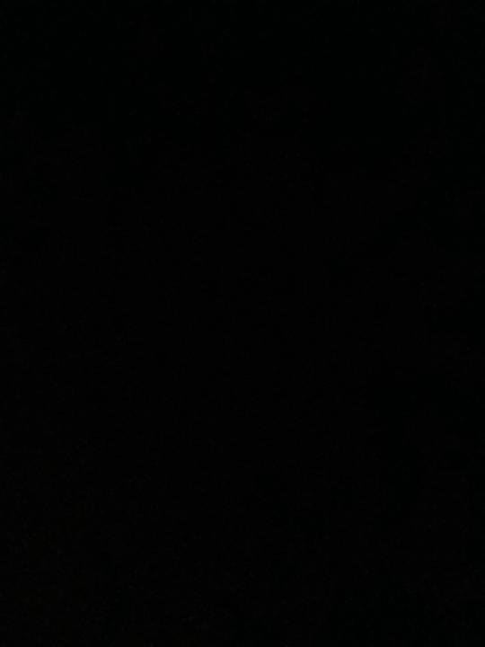 Waldemar Berscheminski