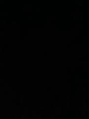 Waldemar Berscheminski