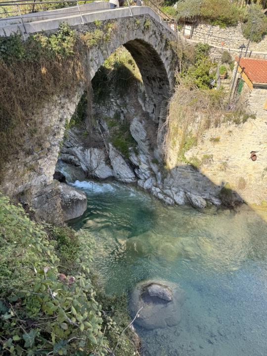 Another hidden gem in my back yard! 