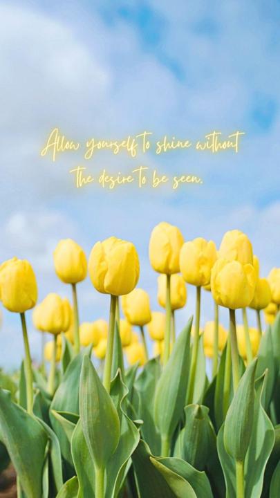 Zyroen Stoffberg Parker