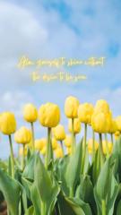 Zyroen Stoffberg Parker