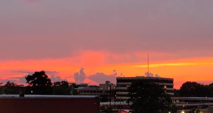 Rhi’s Realm of Random Rarities