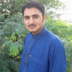 Muhammad Luqman Bashir