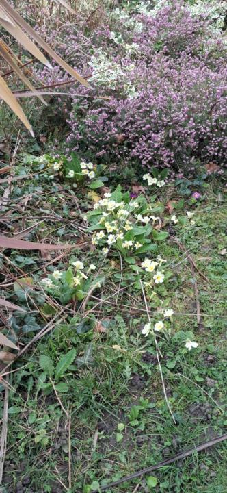 Weekly check-in: March — Attention & Intention