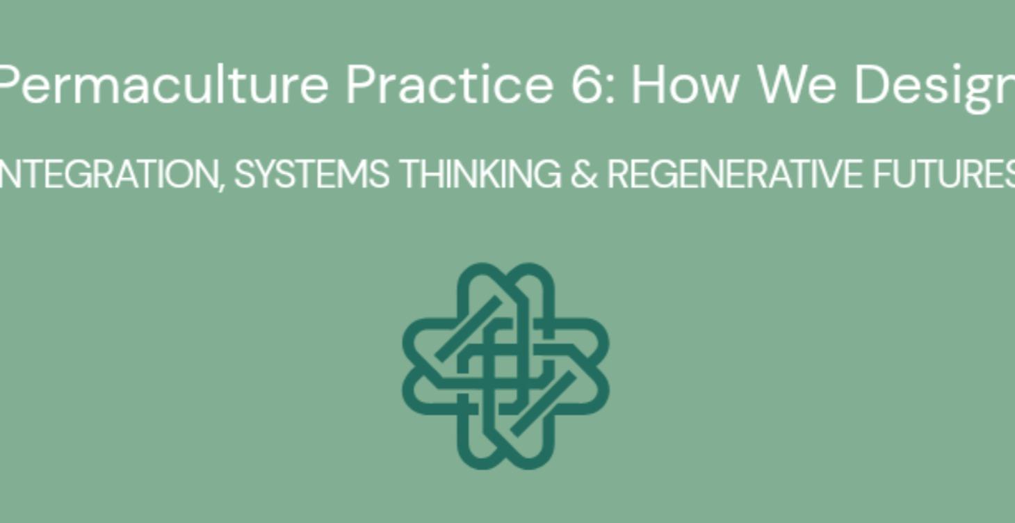 Permaculture Practice 6: How We Design