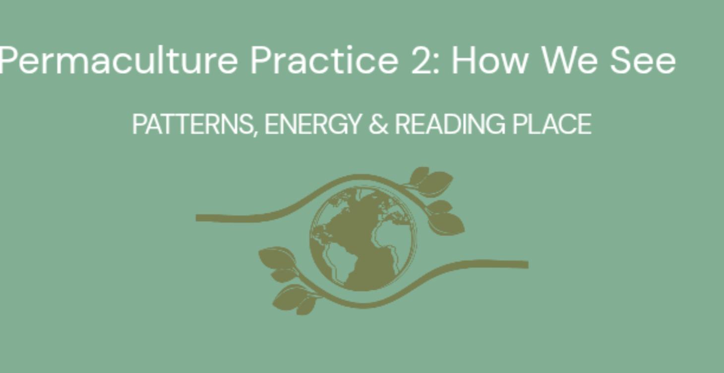 Permaculture Practice 2: How We See