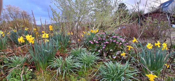 Small Shifts — April newsletter