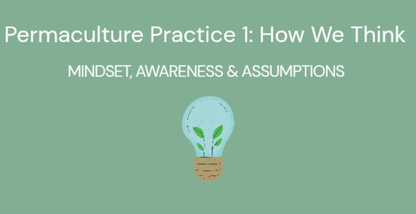 Permaculture Practice 1: How We Think