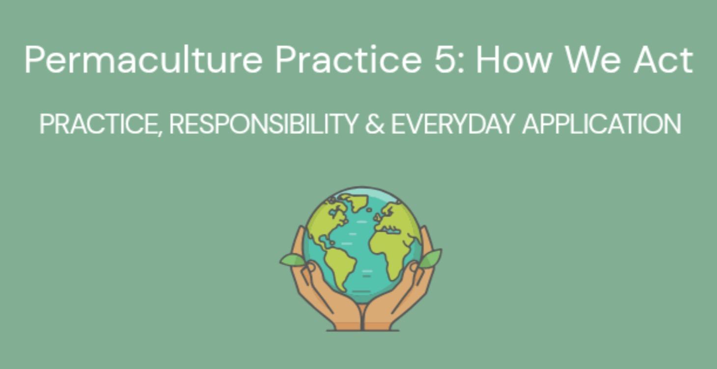 Permaculture Practice 5: How We Act