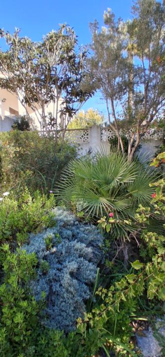 February Check-In: Care, Warmth & Responsible Stewardship