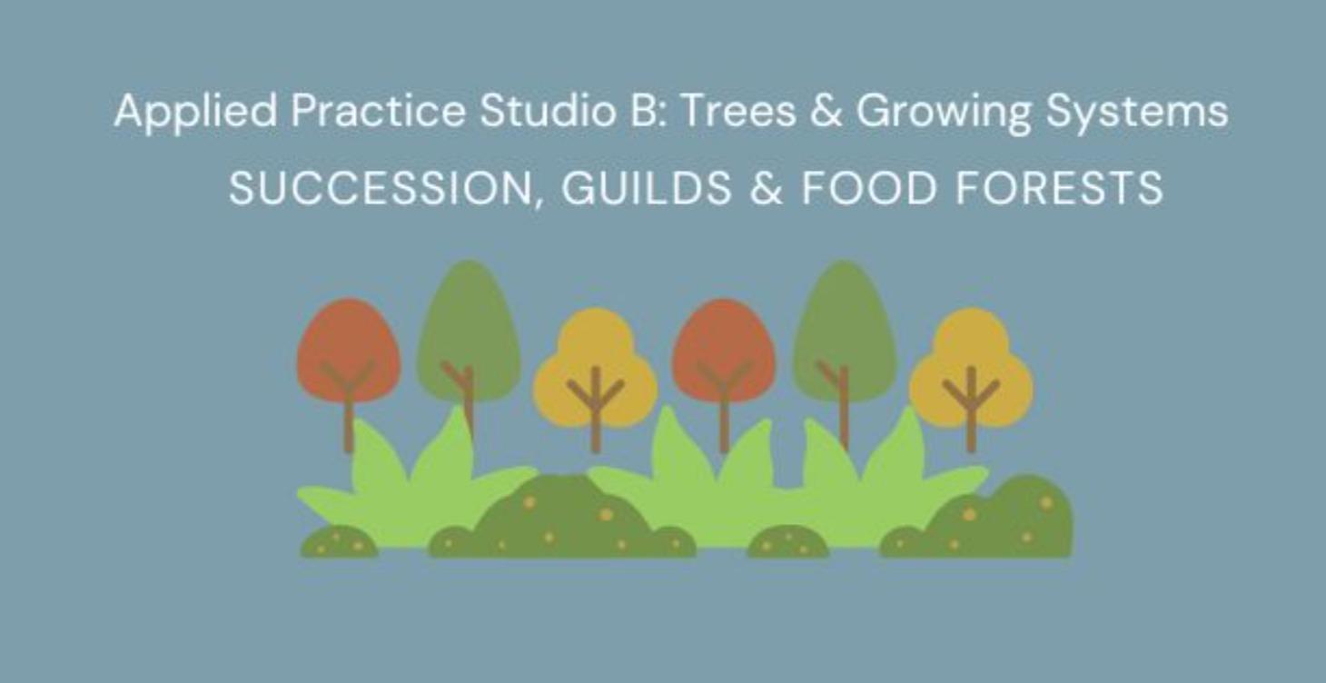 🪴 Applied Practice Studio B: Plant Systems