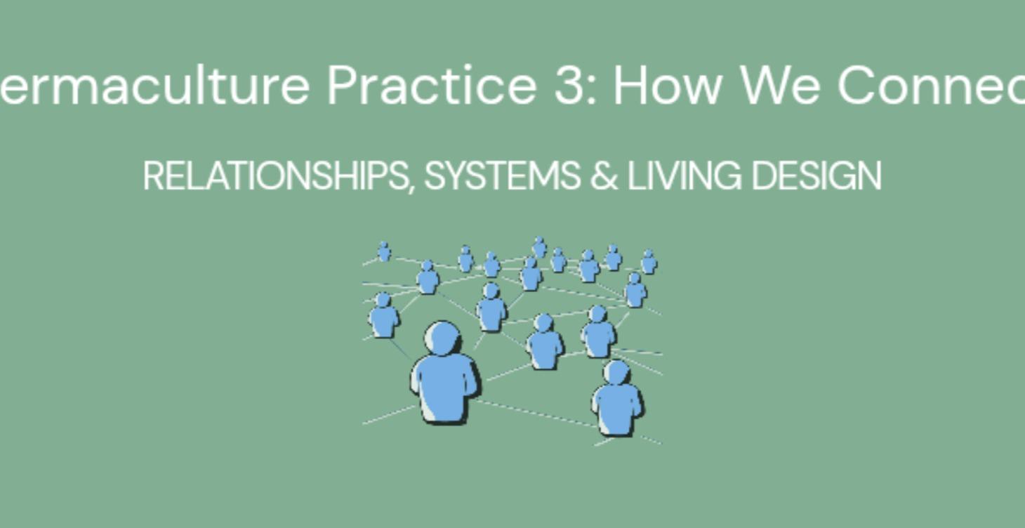 Permaculture Practice 3: How We Connect