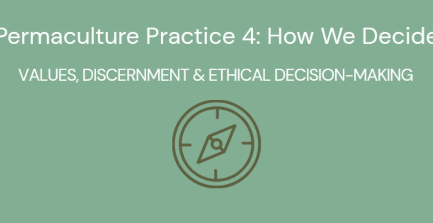 Permaculture Practice 4: How We Decide