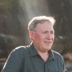 Rowan Shead