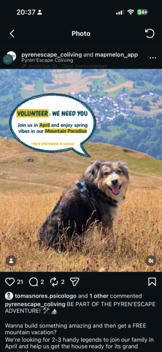 Volunteering opportunity 