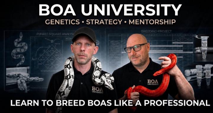 Boa University