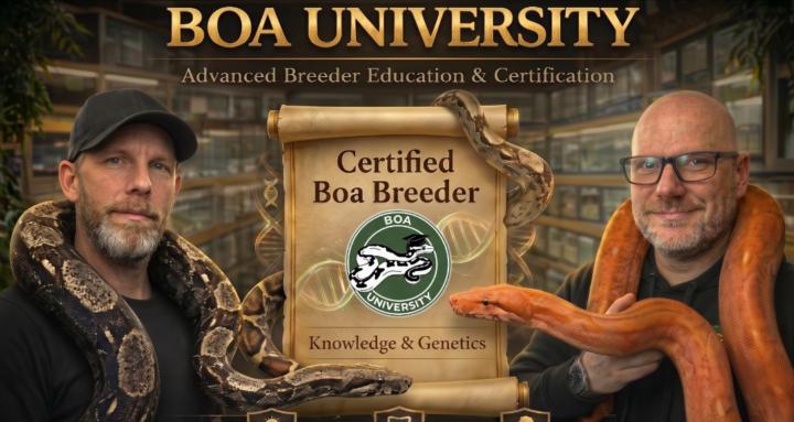 Boa University