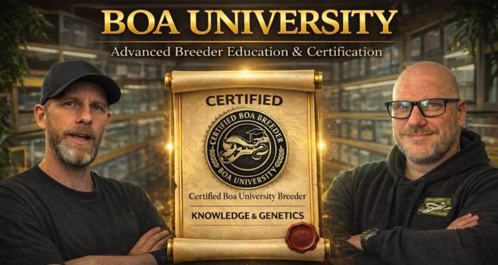 Boa University