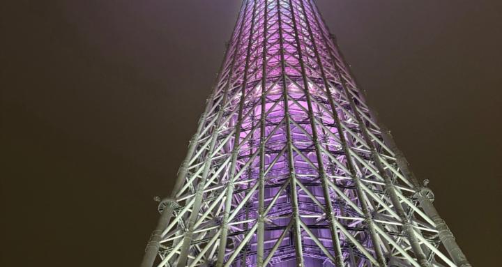 The Colt that Bolted