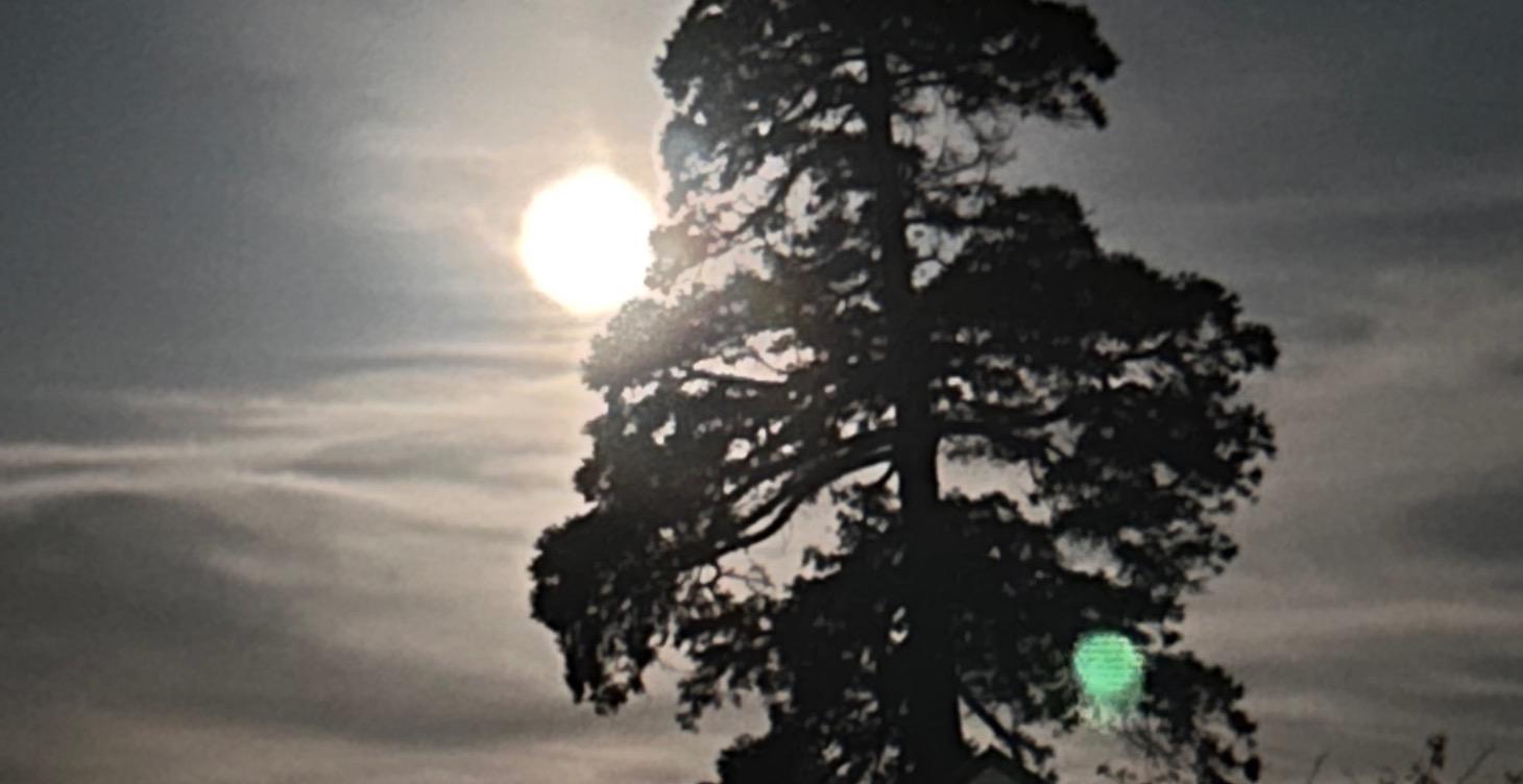 Navigating Darkness (yang)