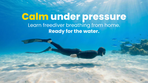 Underwater Squad gallery image