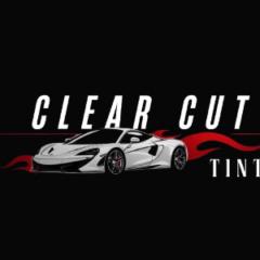 Anthony Dupin de Saint Cyr