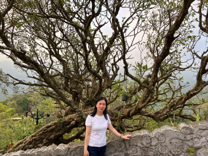 Chiến Trần