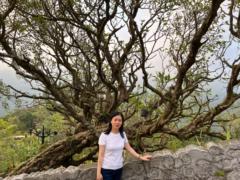Chiến Trần