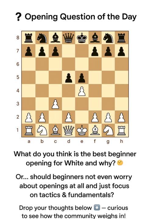 Beginner Openings