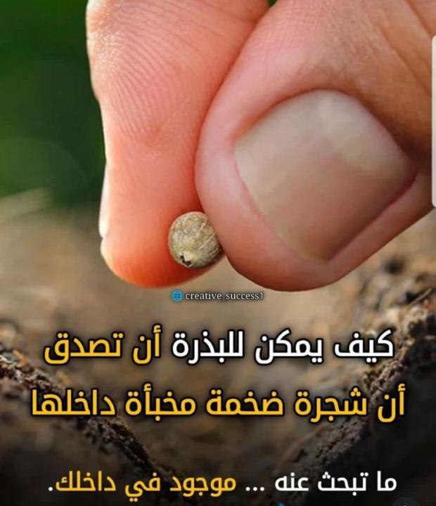 Rachid Al khttabi