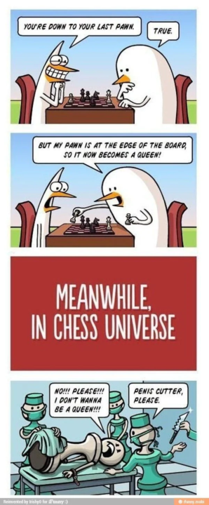 CHESS MEME 3#