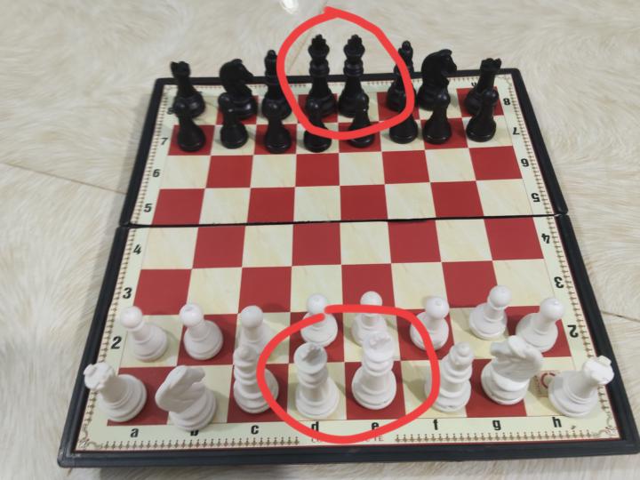 look, gay chess