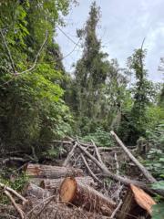 Paula Aguirre Gonzale