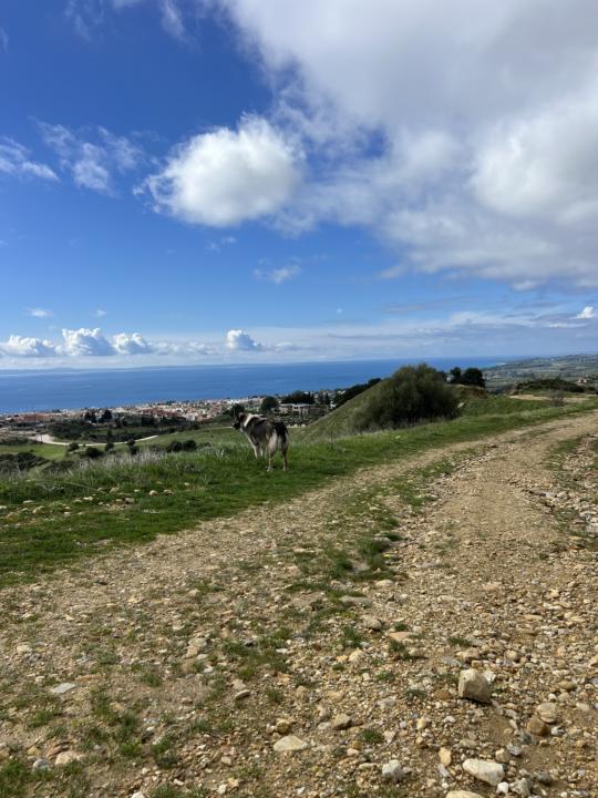 Was mich gerade beschäftigt 