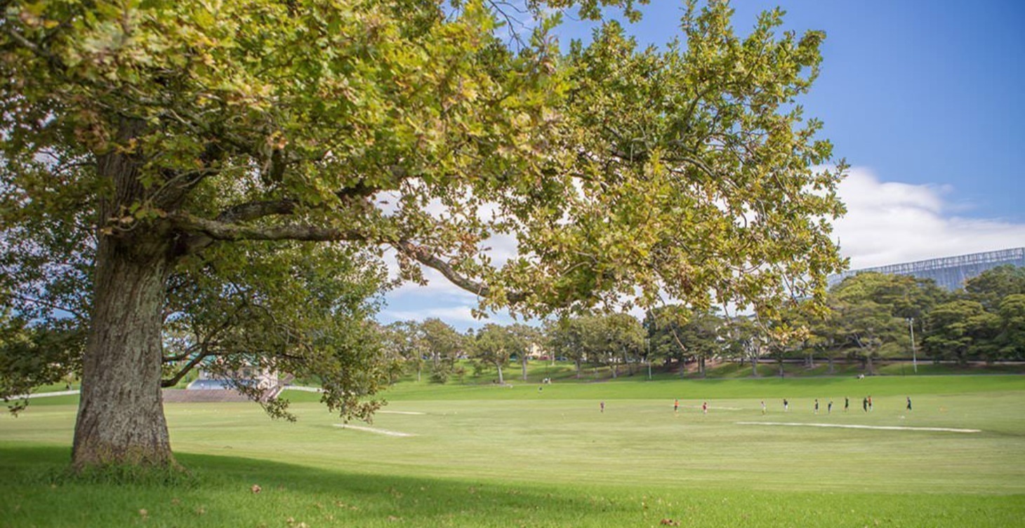 遊戲積分介紹🚀- How to level up?