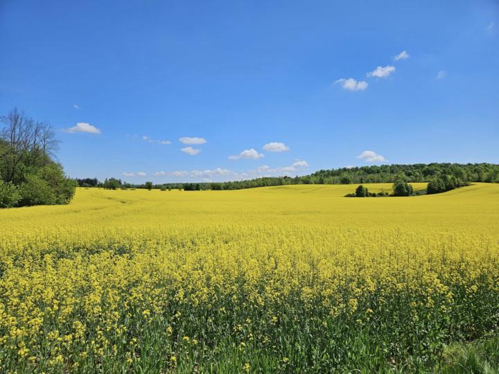 🌿 [July] Speaking Check-in Self-Growth & Healing 自我成長與療癒