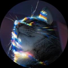 Cat Mantise